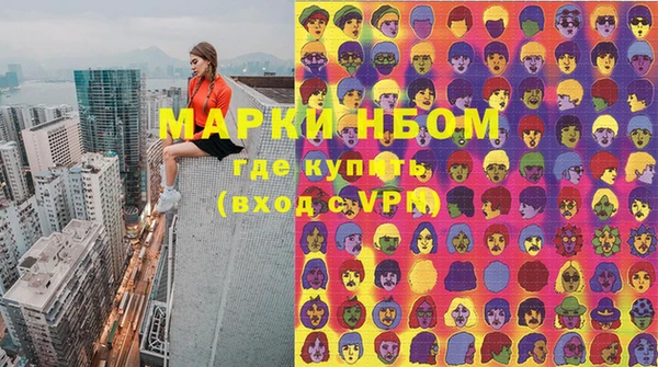 шишки Абаза