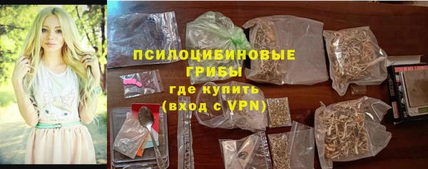эйфоретик Алексин